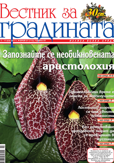 Вестник за градината, брой 27