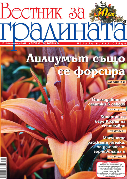 Вестник за градината, бр. 38