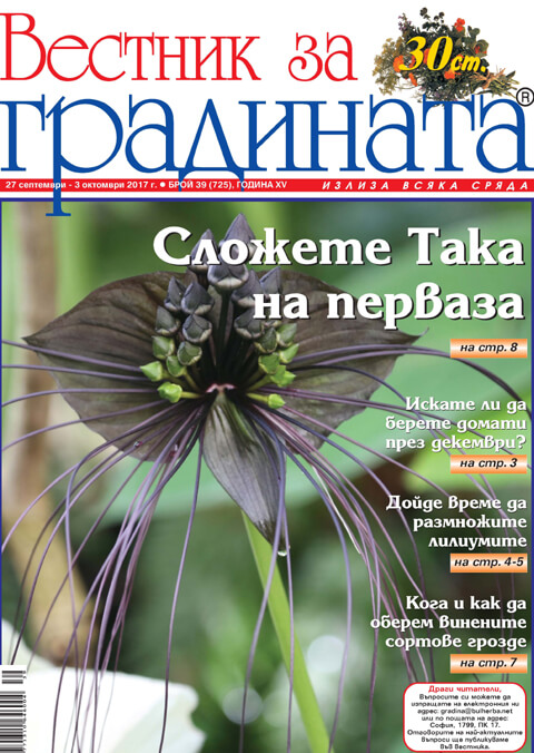 Вестник за градината, бр. 39
