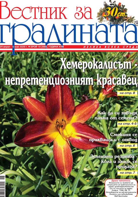 Вестник за градината, бр. 18
