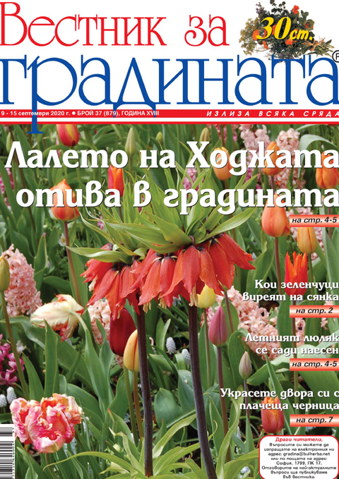 Вестник за градината, бр. 37