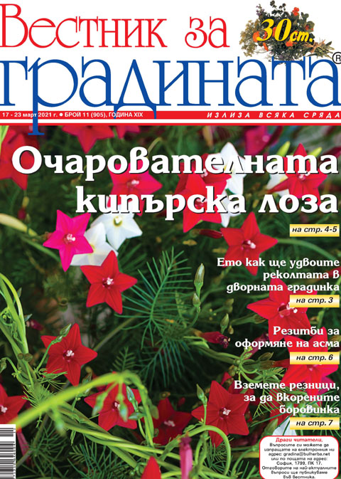 Вестник за градината, бр. 11
