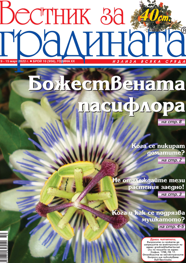 Вестник за градината, бр. 10