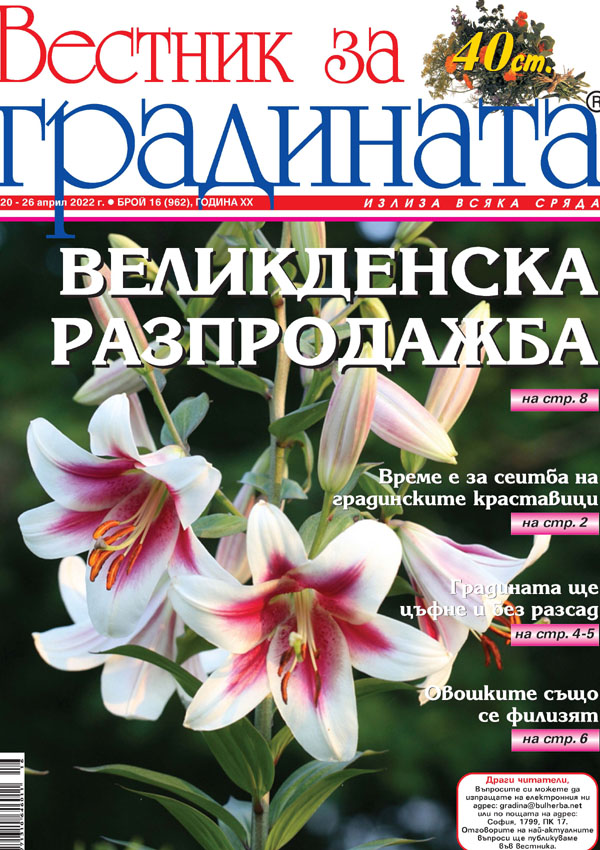 Вестник за градината, бр. 16