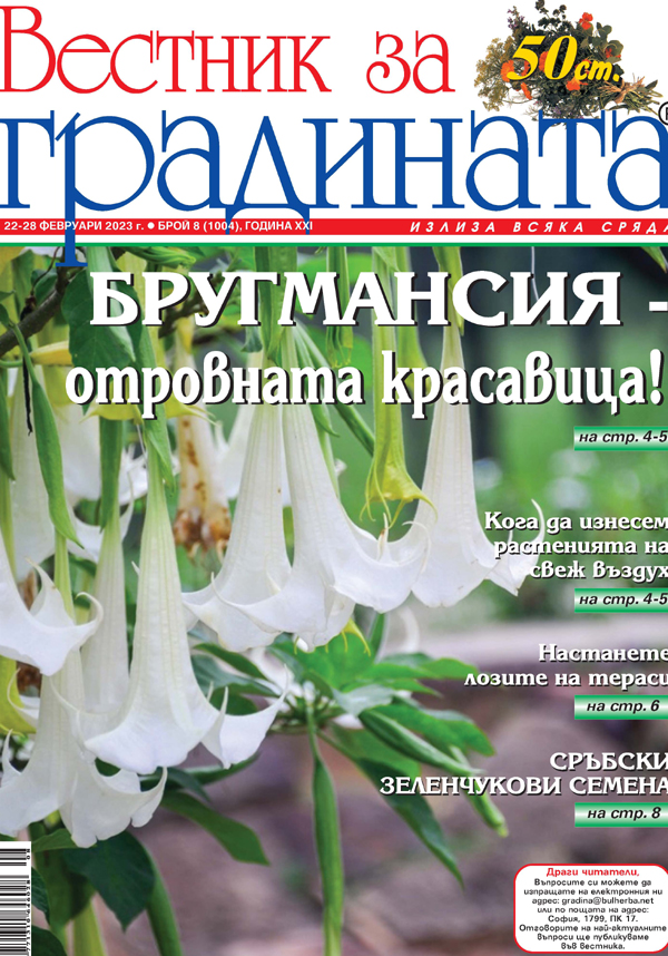 Вестник за градината, бр. 8