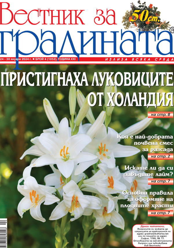 Вестник за градината, бр. 4