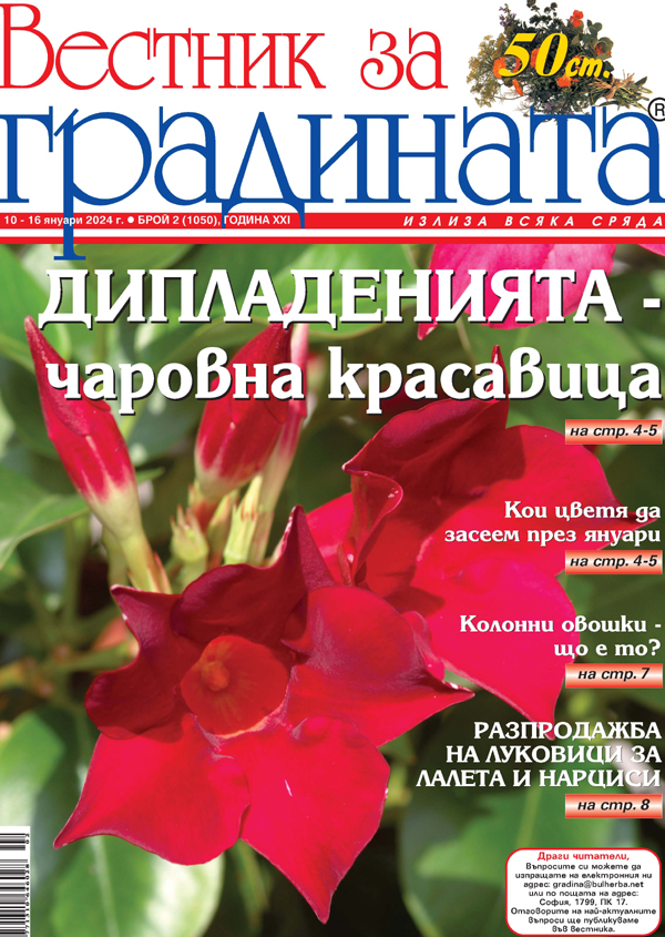Вестник за градината, бр. 2