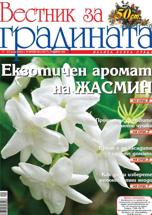 Вестник за градината, бр. 29