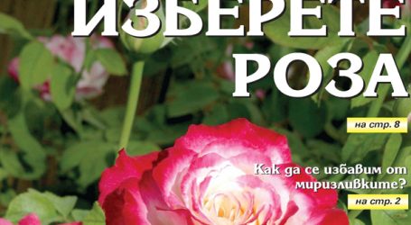 Вестник за градината, бр. 38