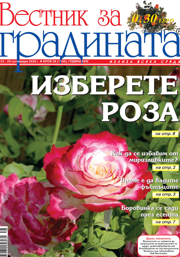 Вестник за градината, бр. 38